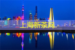 上海城市奇观：揭示五个景观背后的壮丽故事