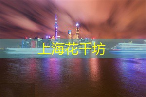 魅力上海：揭秘街头艺人娱乐场所！